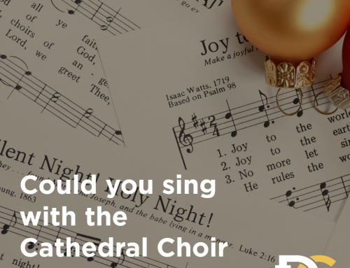 Could YOU sing with the Cathedral Choir this Christmas?