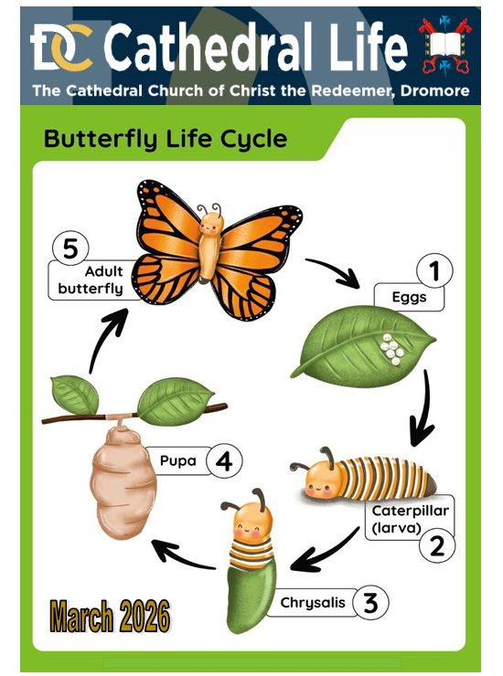 Cathedral Life April 2020